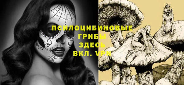 соль курить ск Рославль